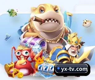 关于我们 - 体育资讯内容服务 - yaxin